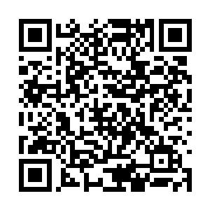 都不知道曹珊珊有没有泄露出他怀有人皇笔的秘密二维码生成