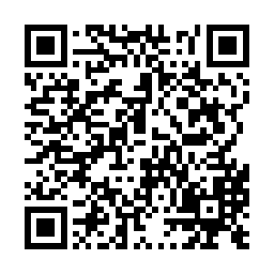 都不能一眼就看出戒指之中包含着一颗珍贵的纳珠二维码生成