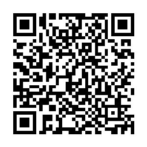 都争着加入了编制扩大了十多倍不止的试炼执勤生中的行列二维码生成