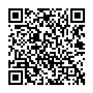 都会不断的扫射出大量玄妙无比的五彩霞光之气二维码生成