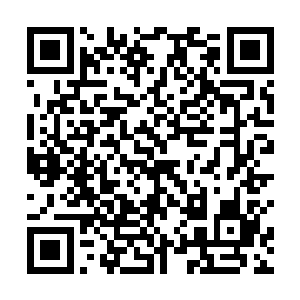 都会自动浮现在脑海里――她从警校学来的知识和技能二维码生成