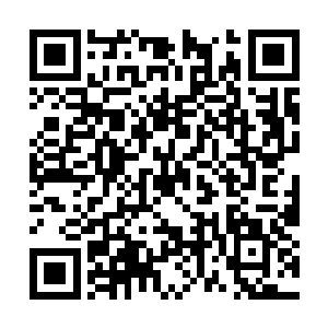 都可以看出来这种怪兽绝对不是我们人界产出来的二维码生成