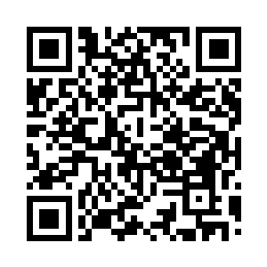 都可以获得一张终生免签证的欧洲国家护照二维码生成