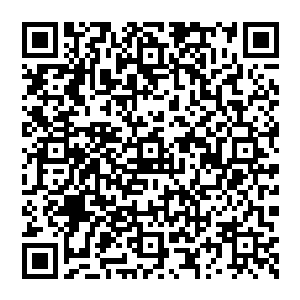 都可以通过修复和服用丹药恢复伤势恢复生命值…不过真是这样的话恐怕到时蚊子叮一下也要死翘翘二维码生成