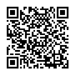 都向那些散发出类似龙涎香气味的源头疯狂的冲去二维码生成