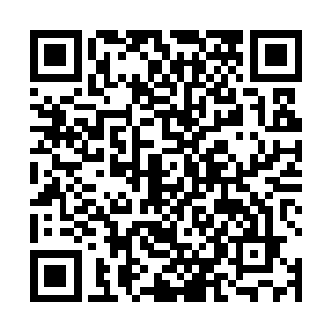 都喜欢屠杀一些具有神之本源的生物――大部分是神仆二维码生成