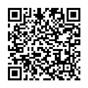 都坚定不移的相信我是得到了鹰神认可的那个天选之子二维码生成