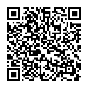 都堆满了张铁从各个次大陆和各个地方收获到的各种各样珍贵的奇珍异宝二维码生成