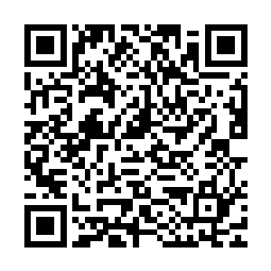 都宁愿舍弃了逃命的生路而坚持要陪在自己的主人身边不离不弃二维码生成