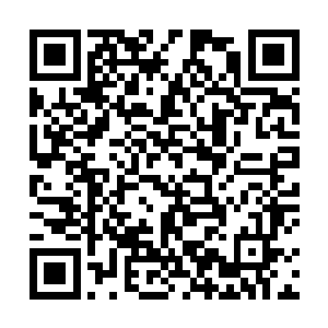 都将注意力集中到了难得出现在公众场合的林若溪身上二维码生成