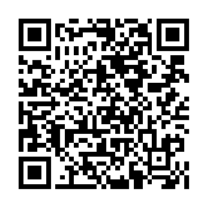 都已经提前出发根据凌予了解到的线索去探路了二维码生成