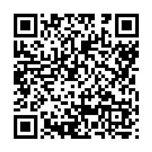 都得要琢磨自己头上的官帽子哪怕是不会立即落地二维码生成