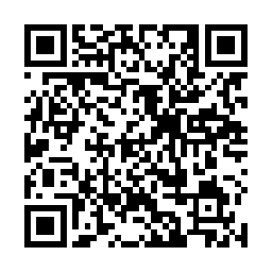 都必然先胆战心惊先将自家野区的每个入口都插上眼睛二维码生成