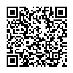都忍不住将惊艳的视线投向君老太身边这个二孙媳妇二维码生成