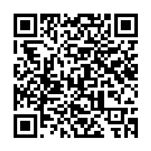 都忘记了自己与夏天祁不过是包养与被包养的关系二维码生成