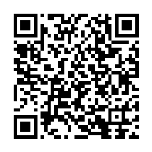 都想自己当组长或者是推选和自己亲近的人当组长二维码生成