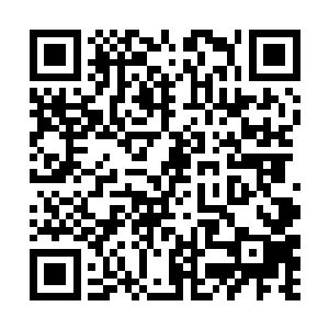 都找不到关于NPC除了呈现给玩家一面以外的生活样子二维码生成