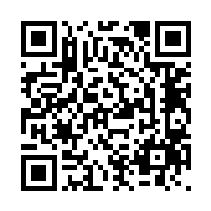 都投入到了柳逸尘提出的新项目里面二维码生成