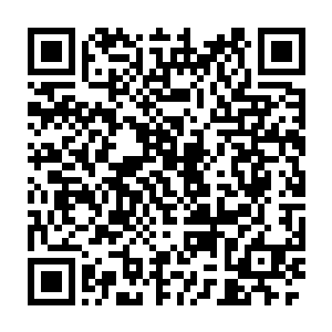 都明白康王前些年成为仅次于皇室与左相党的第三大势力并非是运气二维码生成