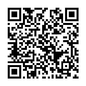 都是五大至尊战堡上至关重要的主体结构组成部分二维码生成