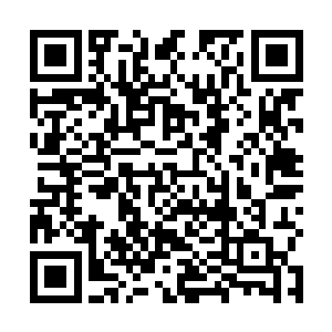 都是从之前的时候那些分身收集的东西之中挑选出来的二维码生成