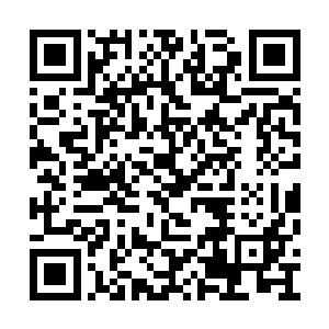 都是从当家的吴三奶奶那里直接拨到越嬷嬷手里二维码生成