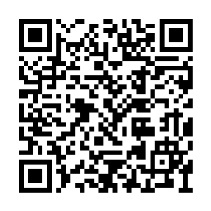 都是刚刚飞升到盘古宇宙并转化成纳米闪电生命二维码生成