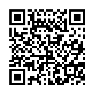 都是城主府或者是各大家族派出来的人二维码生成