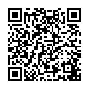 都是恨不能让自家这些不肖子孙和人家调换了才好二维码生成