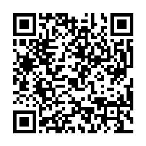 都是我做事不周密这才害的他们到深秋时节都不能回家二维码生成