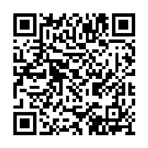 都是来自于鸿蒙百圣族中愿意成为傀儡师的天才二维码生成