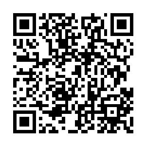 都是由着君家或者司家的司机送着司笑语过来的二维码生成