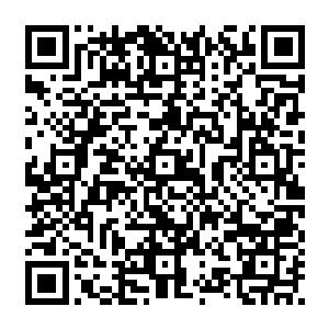 都是连忙扬起双掌调御起全身的劲气来对抗霍君白这如云似雾般无孔不入的劲气洪流二维码生成