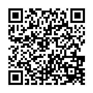 都是那些和洛离为敌的修士的家族・派人过来安抚洛离二维码生成
