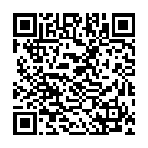 都是鬼剑老人一个人在向那中年修士和倪道溪介绍着什么二维码生成
