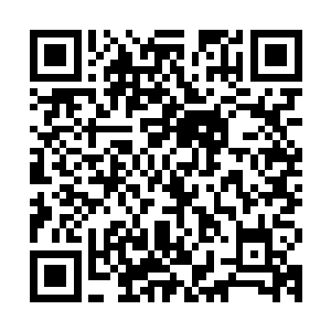 都是黑手党内部的隐秘之事……自然也是跟秦方没有太多关系的二维码生成