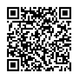 都有一只硕大无朋的银白色气球在身后不远不近地跟着他二维码生成