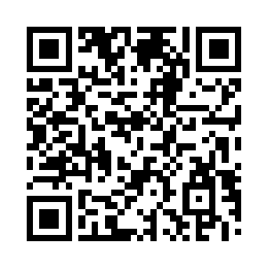 都有联合国和尼日尔官方的免检证明文件二维码生成
