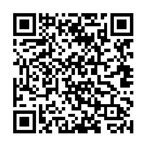 都未曾将他们这些几万拱卫禁军的倒霉汉子放在眼里二维码生成