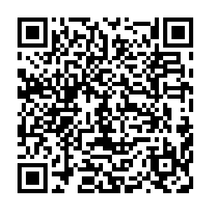 都来自于张铁在后方军团浑水摸鱼干掉艾维斯家族的四个年轻一代精英的奖励二维码生成