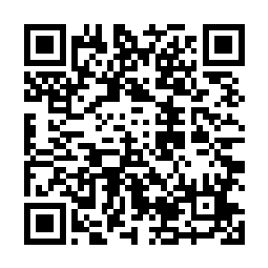 都没有听说过哪个原住民或者玩家完成了对他们的击杀二维码生成