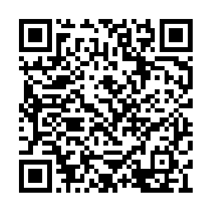 都没有意识自己对熊小宝越来越不客气不礼貌了二维码生成