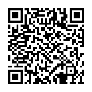 都没有打听到姚若溪和于晋然求见皇上说了什么二维码生成