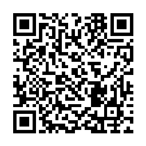 都没有让自家的洞天吞并了任何一块太古九天的碎片二维码生成