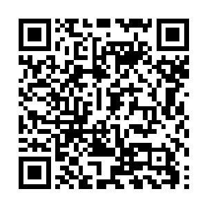 都疯狂地为羽神宗在龙墟界域各处搜罗各种奇珍异宝二维码生成