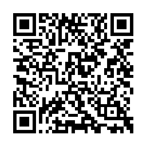 都看得出来叶晟唯对眼前这个乖巧女孩十分宠溺二维码生成