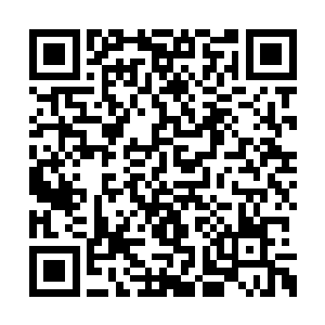 都知道她在跟着学校的几个老教授研究项目的事二维码生成