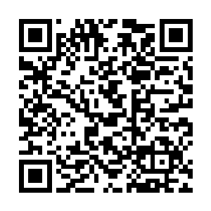 都荡漾着一道道如同淡金色和赤红色羽毛般的能量涟漪二维码生成