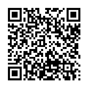 都觉得慕容仙儿不太像是那个搅动古玩界一池清水的魅二维码生成
