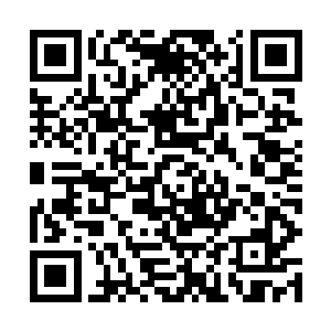 都让她下意识的有一张想要蜷缩在对方怀中渴望保护的yu望二维码生成